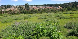 Makaburini cemetery in Kericho