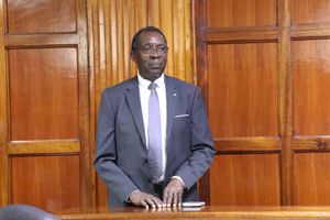 WhatsApp Image 2026-03-25 at 11.39.53