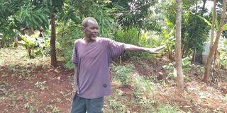 WhatsApp Image 2026-03-25 at 12.18.08