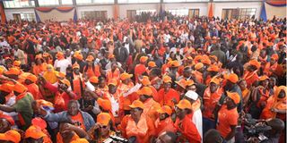 ODM supporters