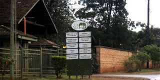  Kenya Wildlife Service Headquaters a