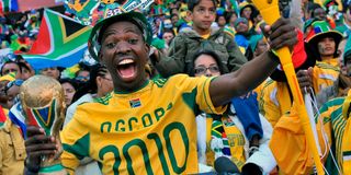 South Africa fan