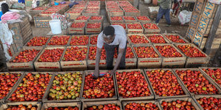 New Content Item (1)