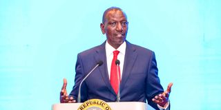 DnAmbassadorsConference2803b