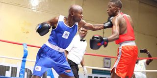 dnsportsboxing0304f