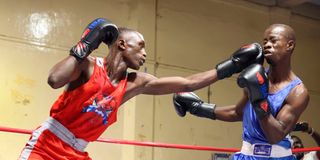 dnsportsboxing0304u