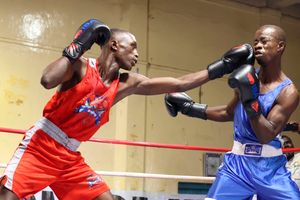 dnsportsboxing0304u