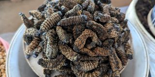 Dried Mopane Worms 