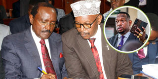 kalonzo in court safaricom sonko
