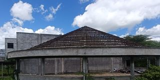 IMG1 (1)