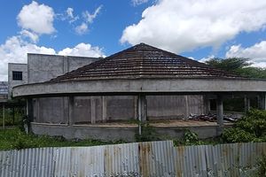IMG1 (1)