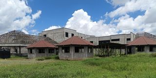 IMG1B