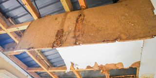 IMG-20260415-WA0353(1)
