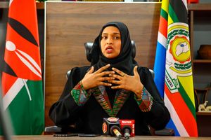 Ummi Bashir 