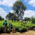 Gathoni Park Farm