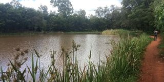 IMG20260408101821