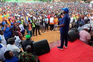 Opposition leaders led by Kalonzo Mysyoka address a rally in Tononoka