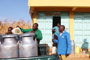 Meru milk