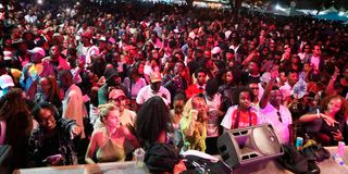 Revelers