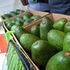 Kenya Exports