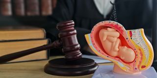 Surrogacy and the law
