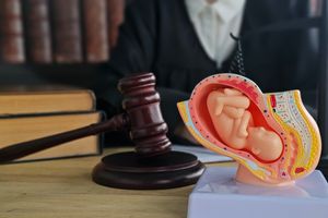 Surrogacy and the law