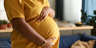 Surrogacy and the law