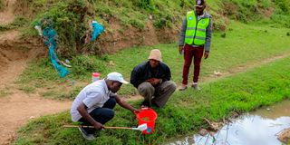 mosquito breeding spots