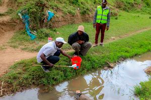 mosquito breeding spots