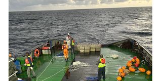Anchored Fish Aggregating Devices (aFADs)