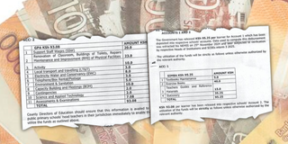 School fees