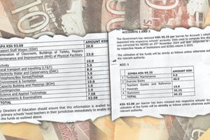 School fees