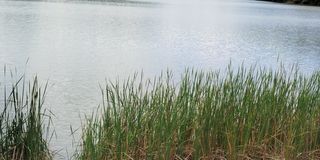 Kirandich Dam