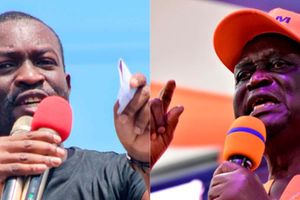 Edwin Sifuna and Oburu Oginga
