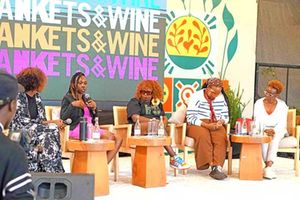 Blankets and Wines