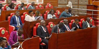 Meru County Assembly