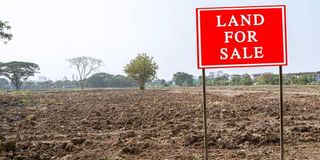 land sale 