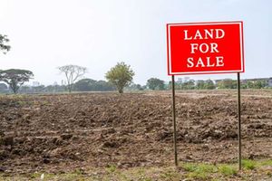 land sale 
