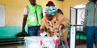 Elderly voter