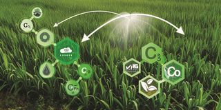 Carbon credits