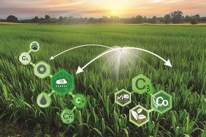 Carbon credits