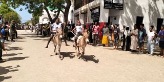 Donkey race