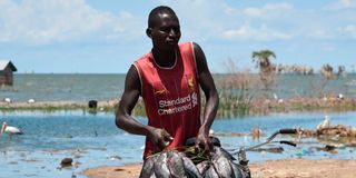 Fisherman