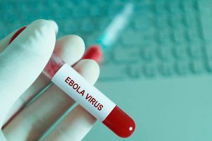 Ebola