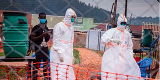 Ebola doctors