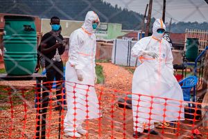 Ebola doctors
