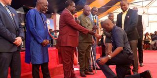 Raila Junior