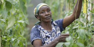 Susan Wairimu