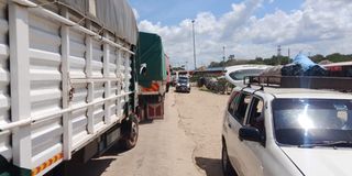 Lamu