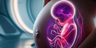 TFAfya081124PregnancyAIc